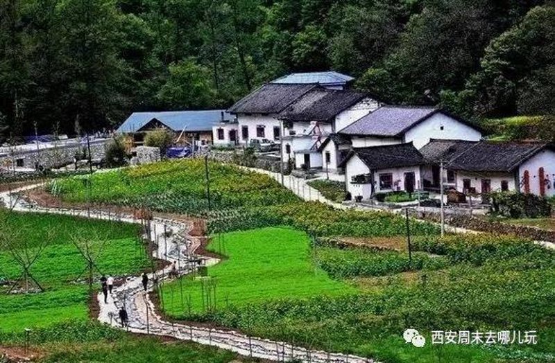 西安周末去哪玩
